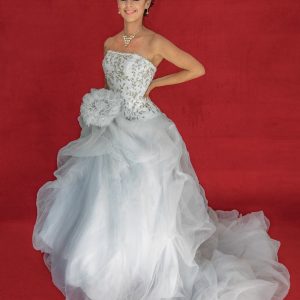 Vestido de novia blanco con bordados plateados corte linea A escote corazon