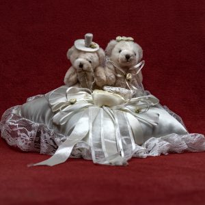 cojin para anillos con asitos